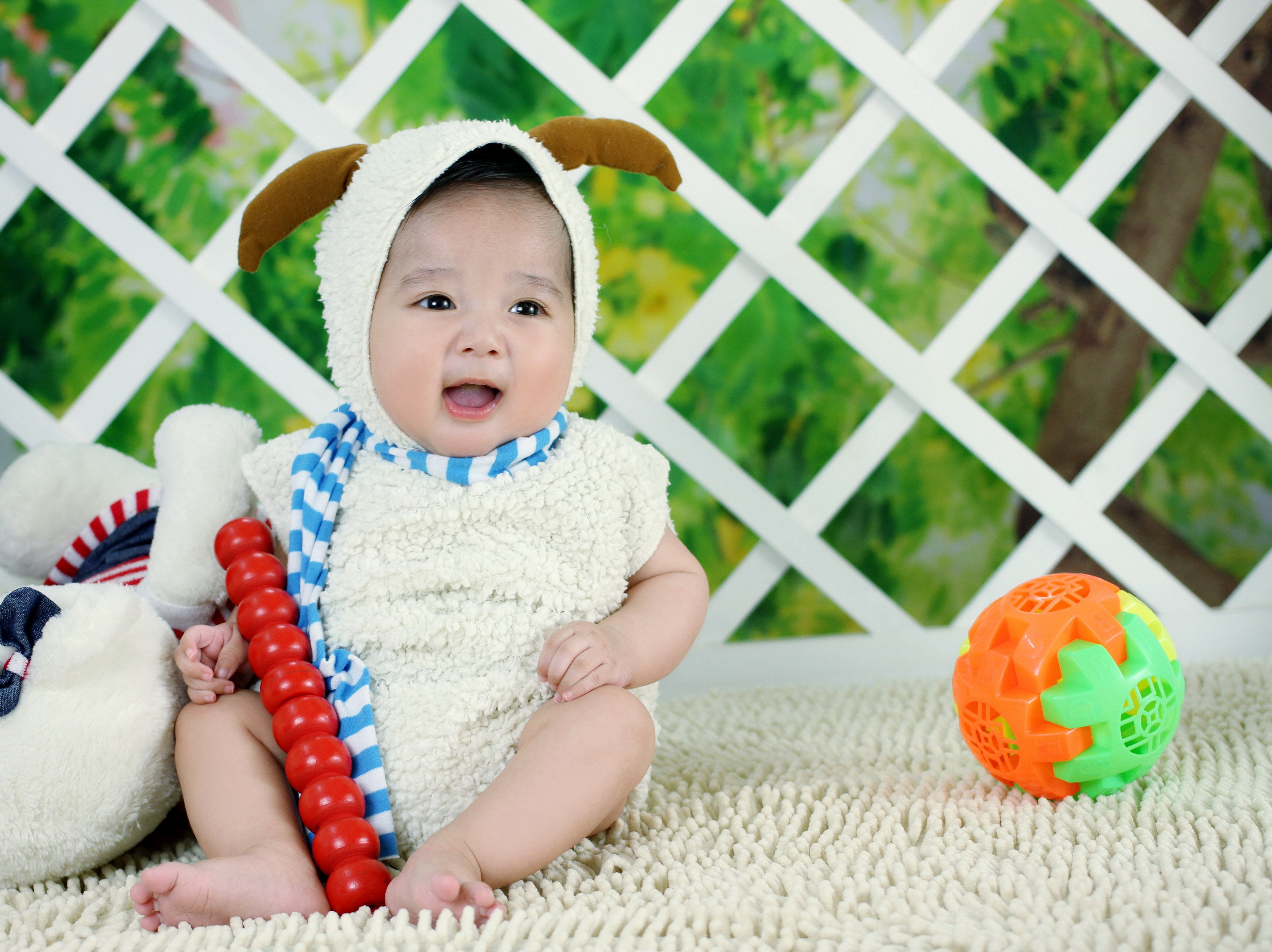 福州供卵公司机构试管婴儿成功率报告